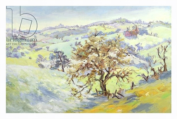 Постер From Udimore Towards Peasmarch, Sussex, in winter с типом исполнения На холсте в раме в багетной раме 221-03