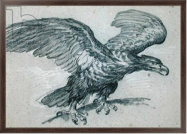 Постер An Eagle, 1811 с типом исполнения На холсте в раме в багетной раме 221-02