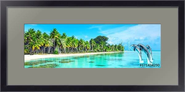 Постер Дельфины у тропических берегов  с типом исполнения Под стеклом в багетной раме 221-01