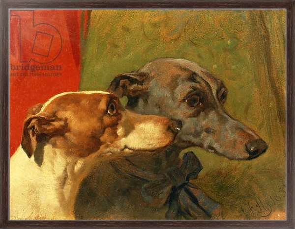 Постер The Greyhounds 'Charley' and 'Jimmy' in an Interior с типом исполнения На холсте в раме в багетной раме 221-02