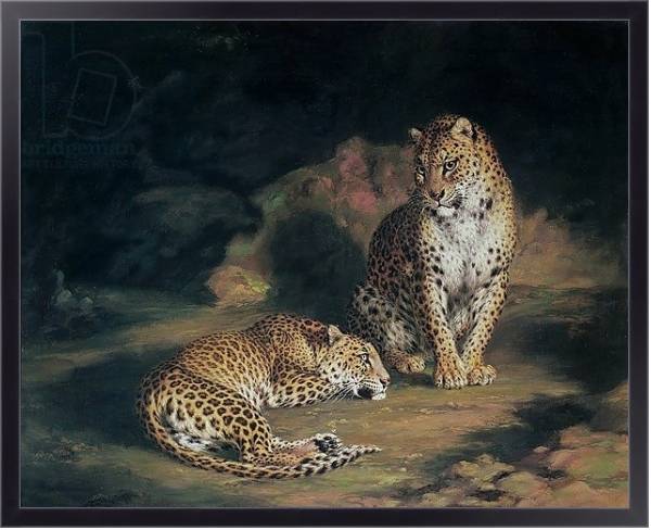 Постер A Pair of Leopards, 1845 с типом исполнения На холсте в раме в багетной раме 221-01