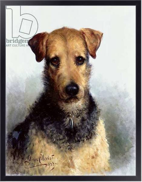 Постер Wire Fox Terrier, 1933 с типом исполнения На холсте в раме в багетной раме 221-01