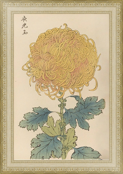 Постер Keika hyakugiku, Pl.31 с типом исполнения Акварель в раме в багетной раме 484.M48.725