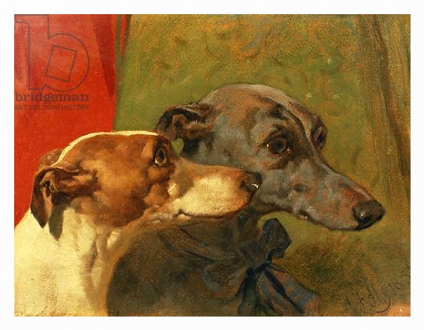 Постер The Greyhounds 'Charley' and 'Jimmy' in an Interior с типом исполнения На холсте в раме в багетной раме 221-03