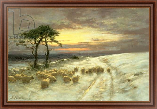 Постер Sheep in the Snow 1 с типом исполнения На холсте в раме в багетной раме 35-M719P-83