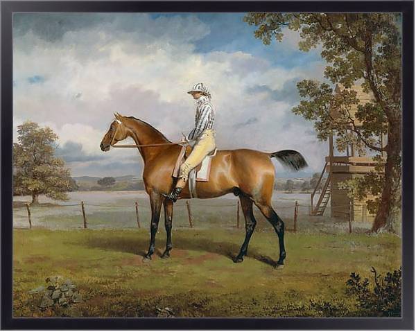 Постер Portrait of a Racehorse Possibly Disguise with Jockey Up с типом исполнения На холсте в раме в багетной раме 221-01
