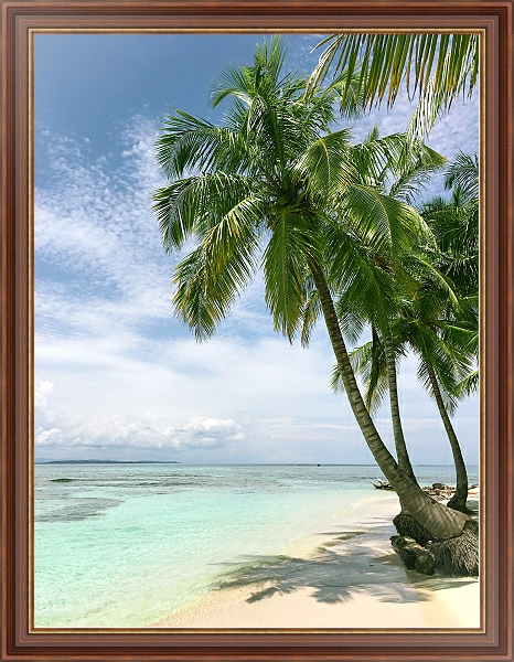 Постер Белый пляж с пальмами с типом исполнения На холсте в раме в багетной раме 35-M719P-83