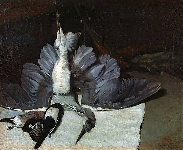 Постер Still-Life: Heron with Spread Wings, 1867 с типом исполнения На холсте без рамы