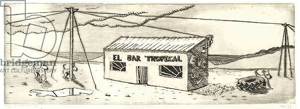 Постер El Bar Tropical с типом исполнения На холсте без рамы