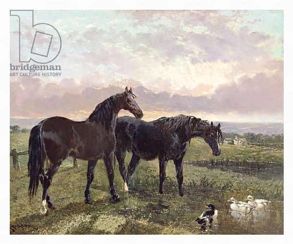 Постер Two horses grazing at sunset с типом исполнения На холсте в раме в багетной раме 221-03