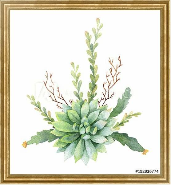 Постер Букет кактусов и суккулентных растений с типом исполнения На холсте в раме в багетной раме NA033.1.051