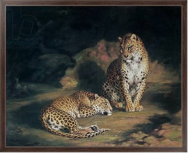 Постер A Pair of Leopards, 1845 с типом исполнения На холсте в раме в багетной раме 221-02