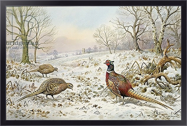 Постер Pheasant and Partridges in a Snowy Landscape с типом исполнения На холсте в раме в багетной раме 221-01