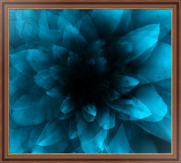 Постер flower blue с типом исполнения На холсте в раме в багетной раме 35-M719P-83