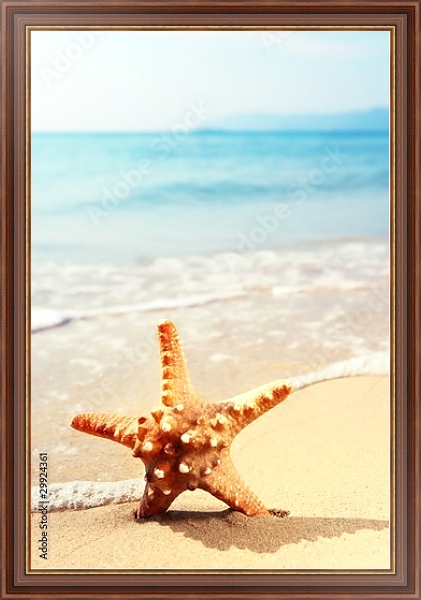 Постер Морская звезда на морском пляже с типом исполнения На холсте в раме в багетной раме 35-M719P-83