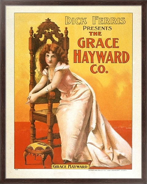 Постер Dick Ferris presents The Grace Hayward Co с типом исполнения На холсте в раме в багетной раме 221-02