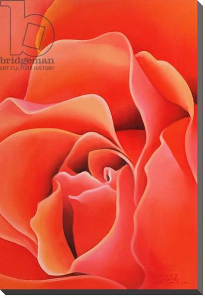Постер The Rose, 2003 4 с типом исполнения На холсте без рамы
