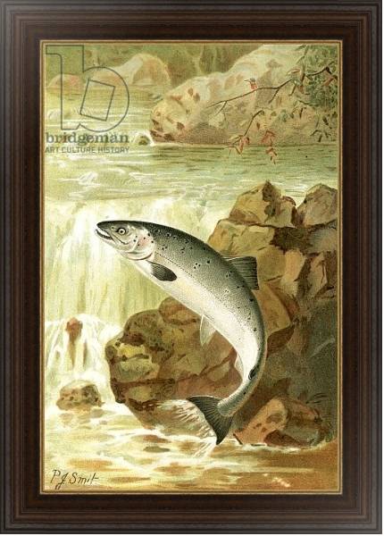 Постер A Salmon leap с типом исполнения На холсте в раме в багетной раме 1.023.151