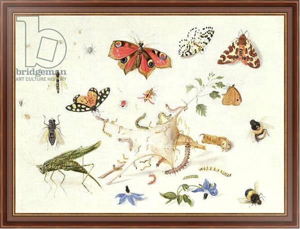 Постер Study of Insects and Flowers с типом исполнения На холсте в раме в багетной раме 35-M719P-83