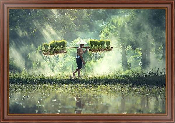 Постер Вьетнамский сборщик урожая с типом исполнения На холсте в раме в багетной раме 35-M719P-83