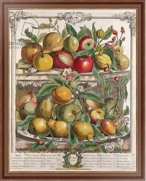 Постер April, from 'Twelve Months of Fruits', by Robert Furber engraved by J. Clark, 1732 с типом исполнения На холсте в раме в багетной раме 35-M719P-83