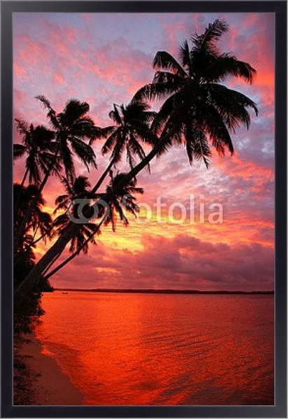 Постер Силуэт пальмовых деревьев на пляже на закате, острова Офу, Тонга с типом исполнения На холсте в раме в багетной раме 221-01