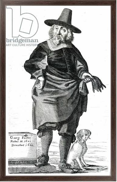 Постер Georg Fuchs, 1650 с типом исполнения На холсте в раме в багетной раме 221-02
