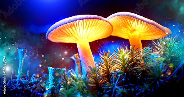 Постер Два светящихся гриба в загадочном темном лесу с типом исполнения На холсте без рамы