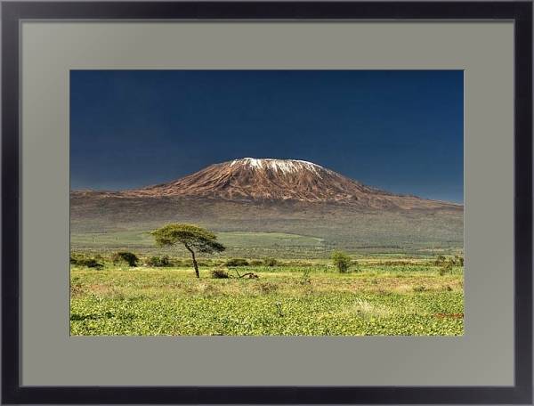 Постер Килиманджаро с типом исполнения Под стеклом в багетной раме 221-01