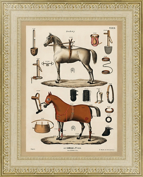 Постер Хромолитография со старинным оборудованием для верховой езды (1890 г.), из антикварного каталога для верховой езды с типом исполнения Акварель в раме в багетной раме 484.M48.725