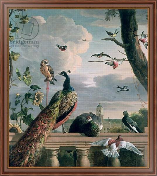 Постер Palace of Amsterdam with Exotic Birds с типом исполнения На холсте в раме в багетной раме 35-M719P-83
