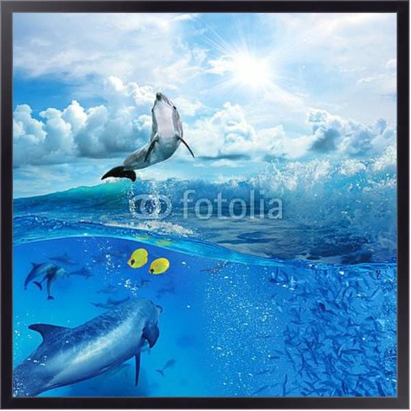 Постер Стая игривых дельфинов, плавающих под водой с типом исполнения На холсте в раме в багетной раме 221-01