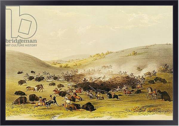 Постер Buffalo Hunt, Surround, c.1832 с типом исполнения На холсте в раме в багетной раме 221-01