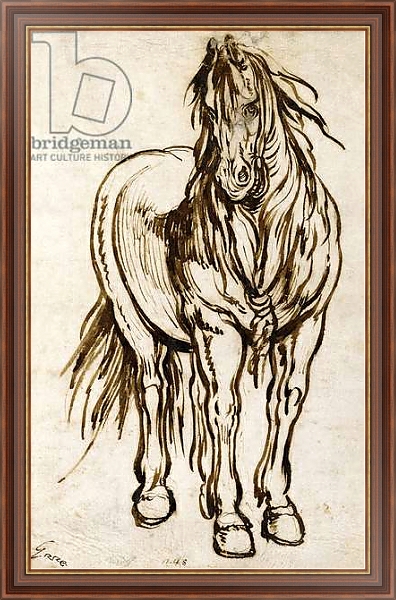 Постер Study of a Horse, с типом исполнения На холсте в раме в багетной раме 35-M719P-83