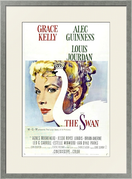 Постер Poster - Swan с типом исполнения Под стеклом в багетной раме 1727.2510