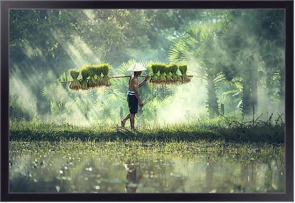 Постер Вьетнамский сборщик урожая с типом исполнения На холсте в раме в багетной раме 221-01