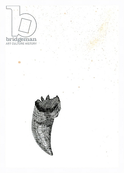 Постер Tooth {Fay-erie Dust}, 2014 с типом исполнения На холсте в раме в багетной раме 221-03
