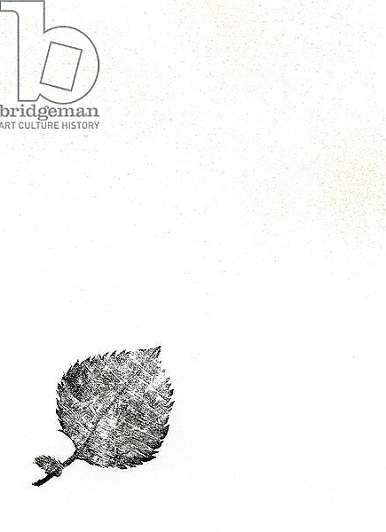 Постер Leaf {Fay-erie Dust}, 2014 с типом исполнения На холсте без рамы