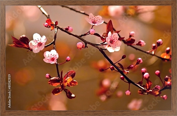 Постер Ветки цветущей сакуры в красных оттенках с типом исполнения На холсте в раме в багетной раме 1727.4310