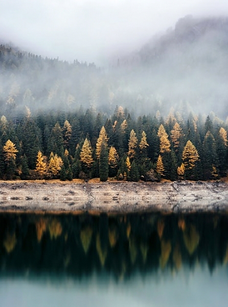 Постер Осенний лес в отражении воды с типом исполнения На холсте без рамы