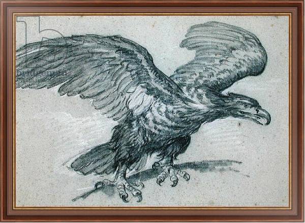 Постер An Eagle, 1811 с типом исполнения На холсте в раме в багетной раме 35-M719P-83