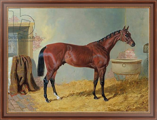 Постер Mr S. Wrather's 'Nutwith' in a stable с типом исполнения На холсте в раме в багетной раме 35-M719P-83