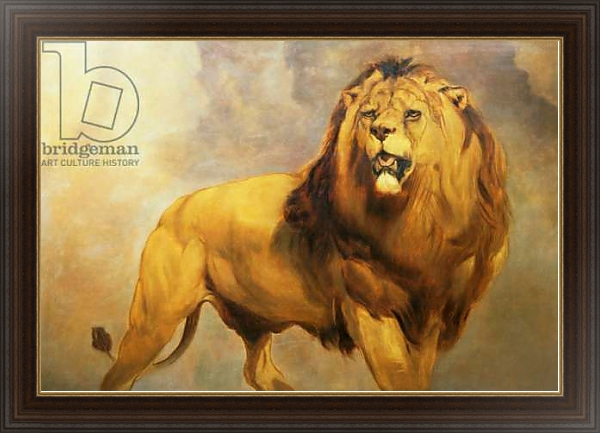 Постер Lion 1 с типом исполнения На холсте в раме в багетной раме 1.023.151