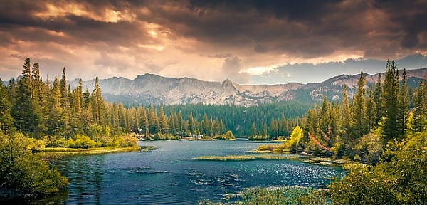 Постер Озеро в лесу на фоне гор с типом исполнения На холсте без рамы