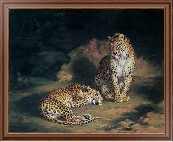 Постер A Pair of Leopards, 1845 с типом исполнения На холсте в раме в багетной раме 35-M719P-83