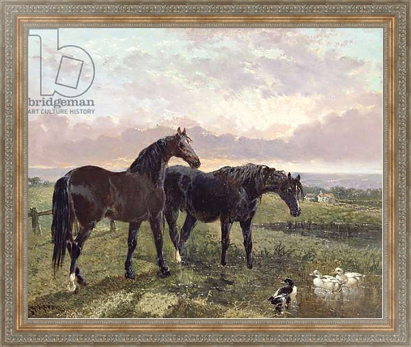 Постер Two horses grazing at sunset с типом исполнения На холсте в раме в багетной раме 484.M48.310