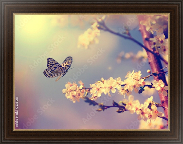 Постер бабочка, садящаяся на цветущую вишню с типом исполнения На холсте в раме в багетной раме 1.023.151