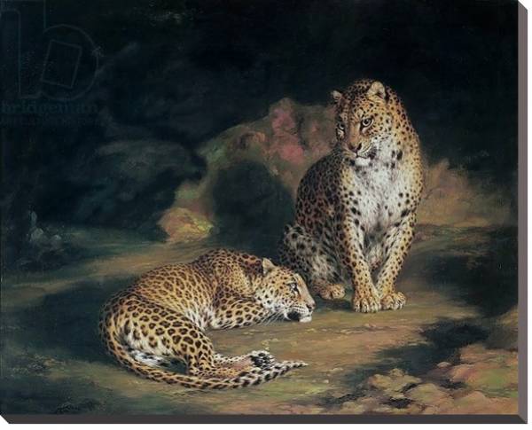 Постер A Pair of Leopards, 1845 с типом исполнения На холсте без рамы