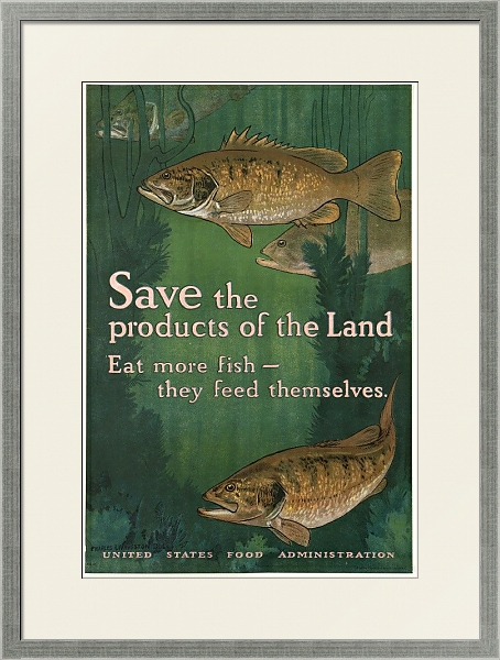 Постер Save the products of the land. Eat more fish — they feed themselves с типом исполнения Под стеклом в багетной раме 1727.2510