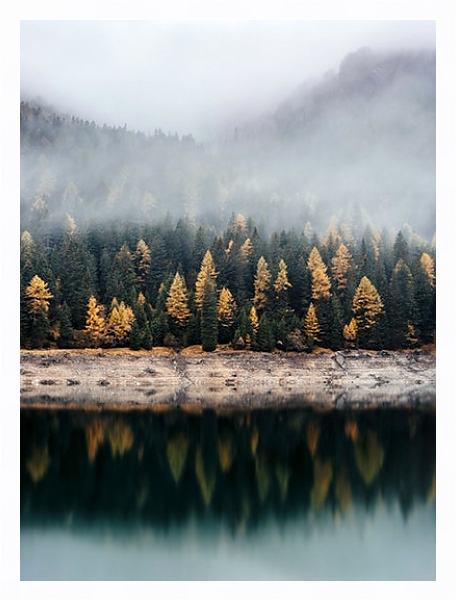 Постер Осенний лес в отражении воды с типом исполнения На холсте в раме в багетной раме 221-03